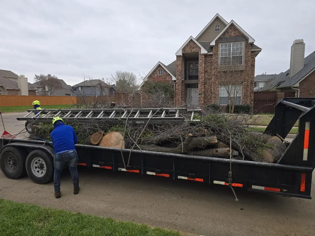 Expert Lot Clearing with proper safety equipment in Lake Tomahawk